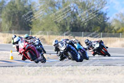 media/Feb-11-2024-CVMA (Sun) [[883485a079]]/Race 18 Supersport Middleweight/